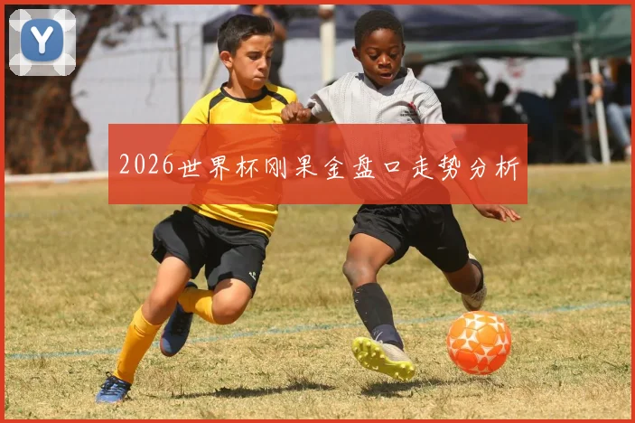 2026世界杯刚果金盘口走势分析