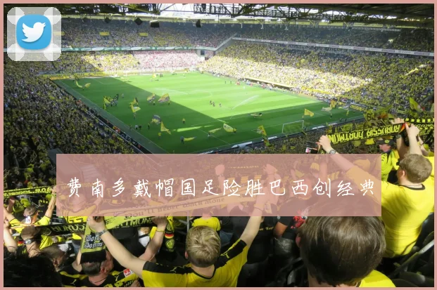 费南多戴帽国足险胜巴西创经典