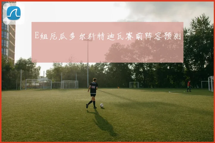 E组厄瓜多尔科特迪瓦赛前阵容预测